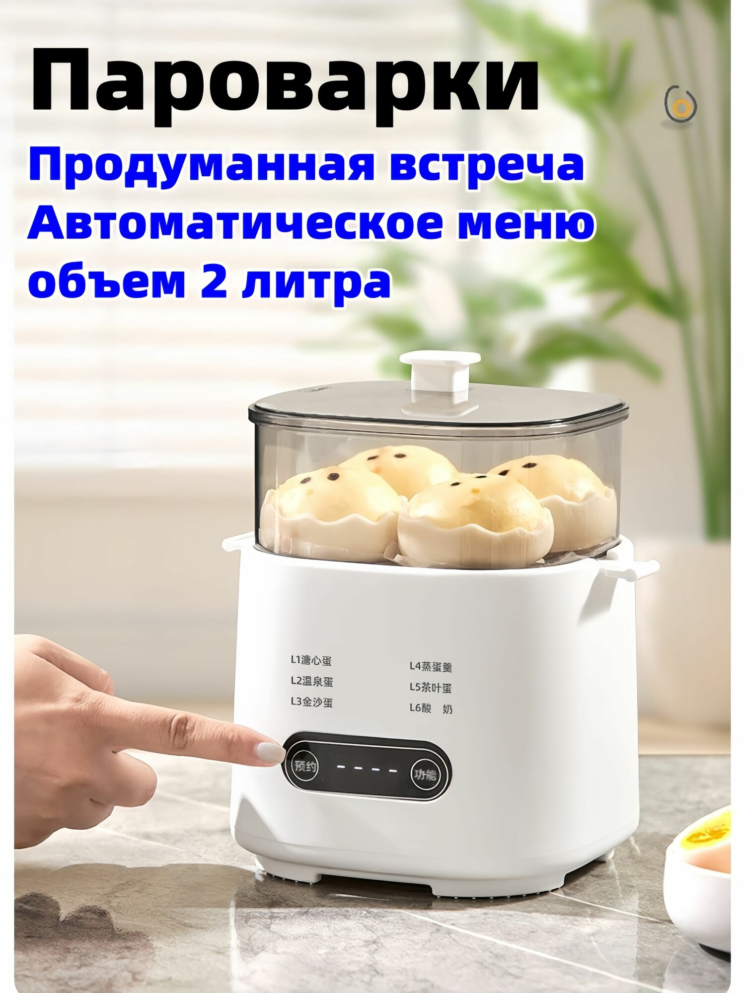 Пароварка WJIECO, индукционный нагрев, нержавеющая сталь, 450Вт