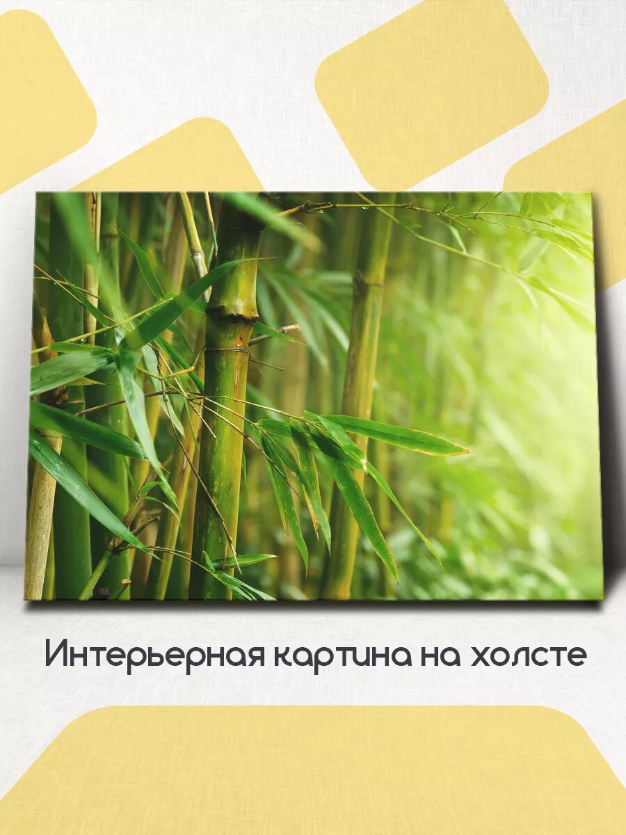 Картина на стену интерьерная Бамбуковый лес 60x45 см