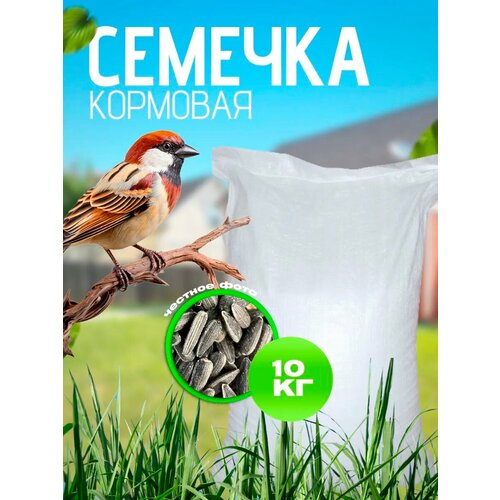 Семечка подсолнуха (кормовая), 10 кг