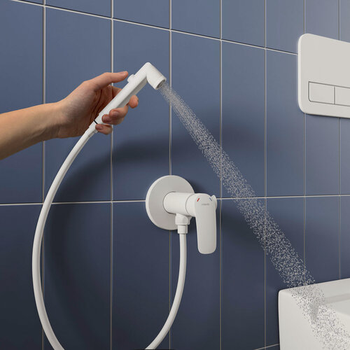 Изображение товара Встраиваемый смеситель с гигиеническим душем Milardo Rora RORWTR0M08 белый матовый