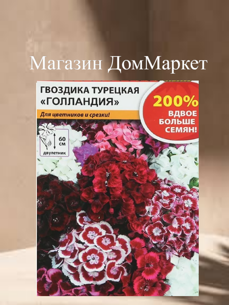 Гвоздика 