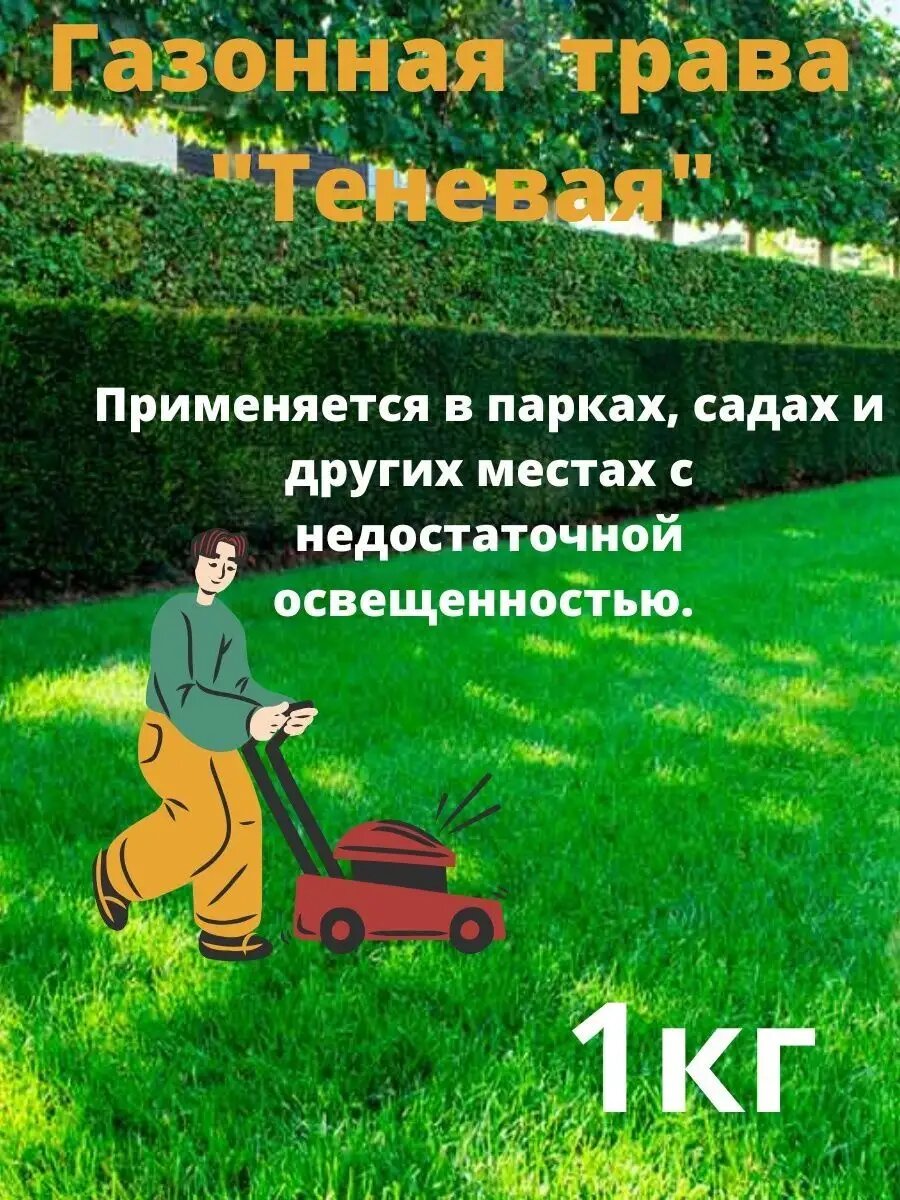 Газонная Трава 