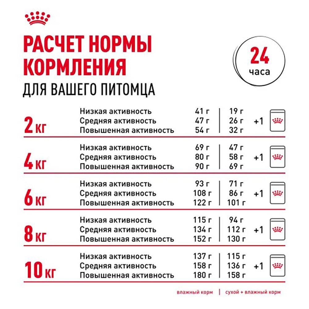 Изображение Royal Canin Mini Ageing 12+ влажный корм для пожилых собак мелких пород, кусочки в соусе (28шт в уп) 85 гр