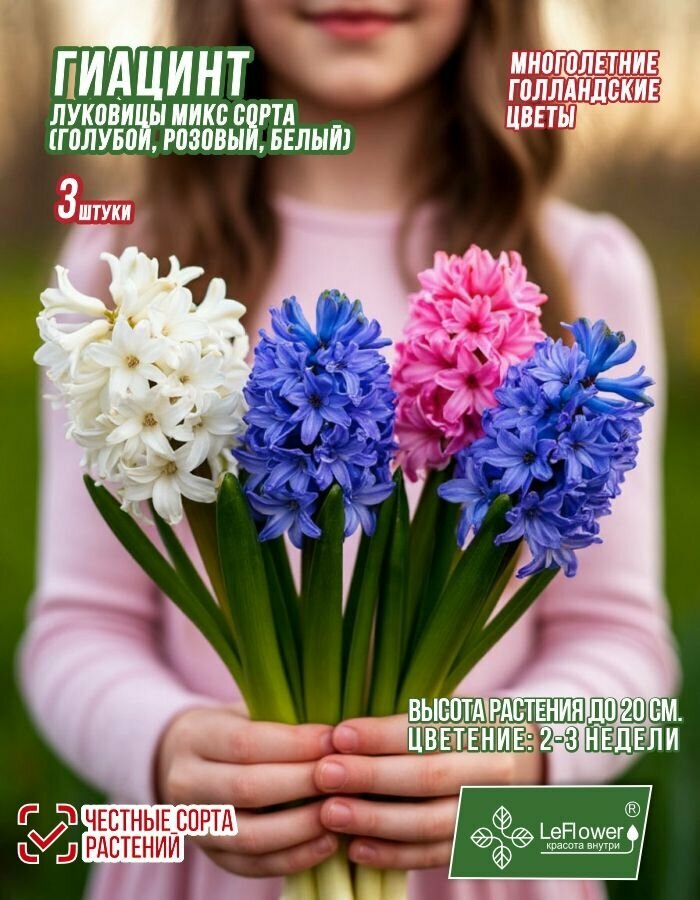 Гиацинт Луковицы Микс сортов 3шт