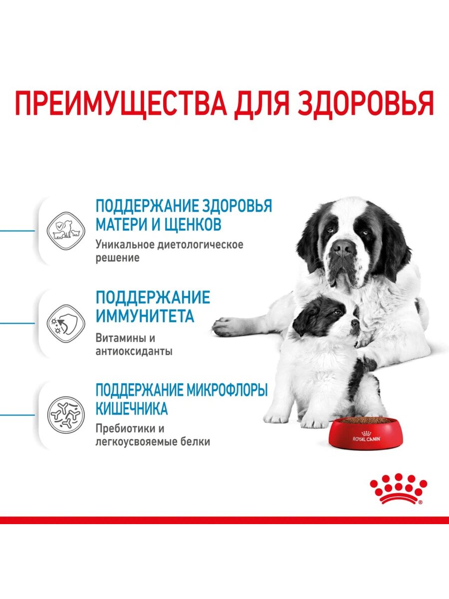 Сухой корм Royal Canin Giant Starter для щенков до 2 месяцев, беременных и кормящих сук гигантских пород Птица, 15 кг. — фото 1