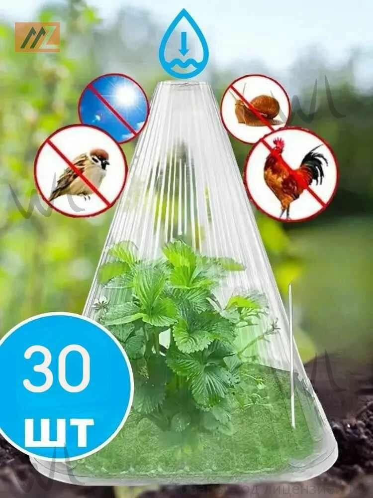 Конус для защиты рассады от колышков для садоводства; 30штwu