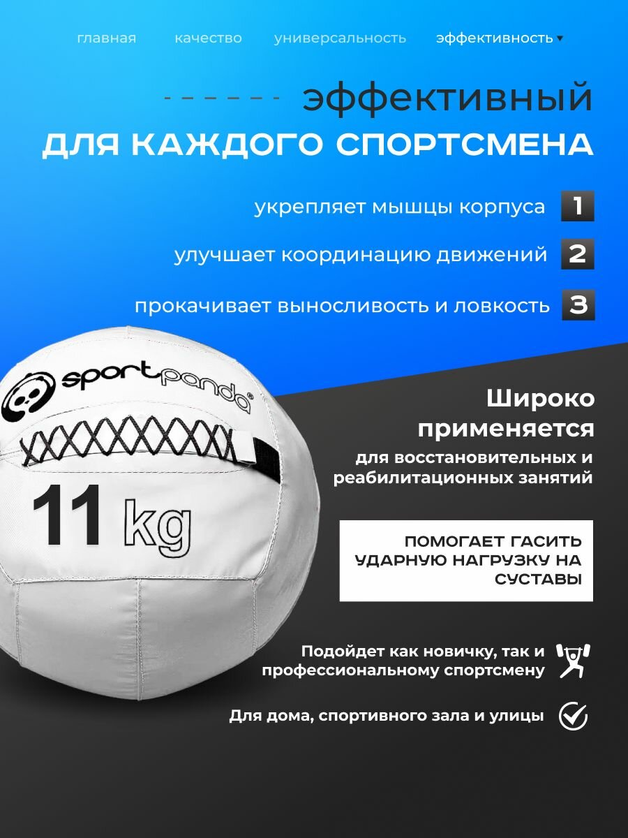 Медбол SportPanda, ПВХ, диаметр 38 см, 11 кг, армированные швы — фото 1