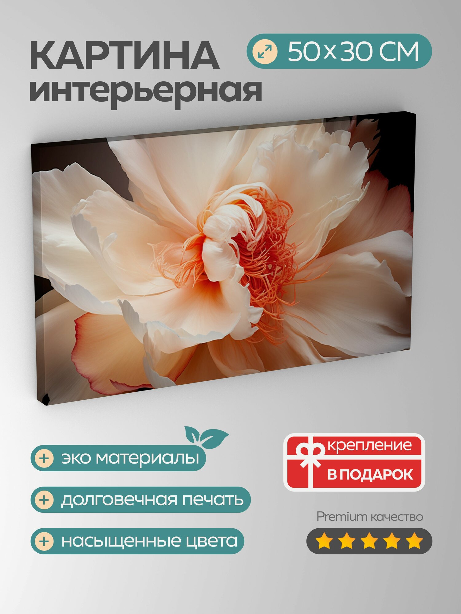 Картина на холсте интерьерная 50х30 см пион цветок лепестки нюансы цвета текстура бархатистость мягкость