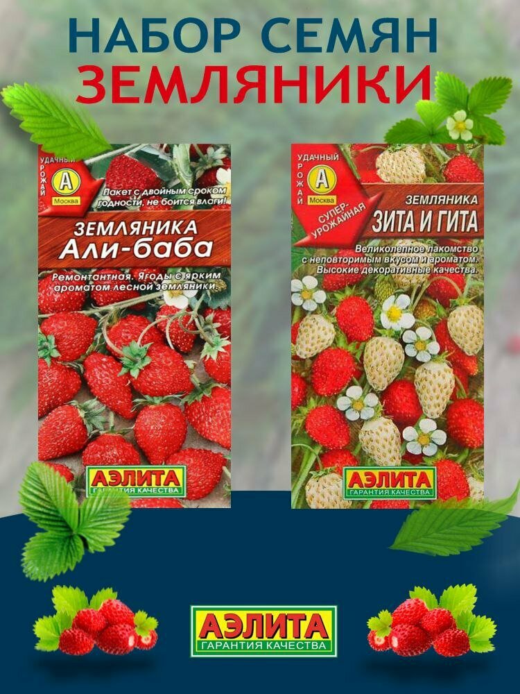 Семена земляники ремонтантной