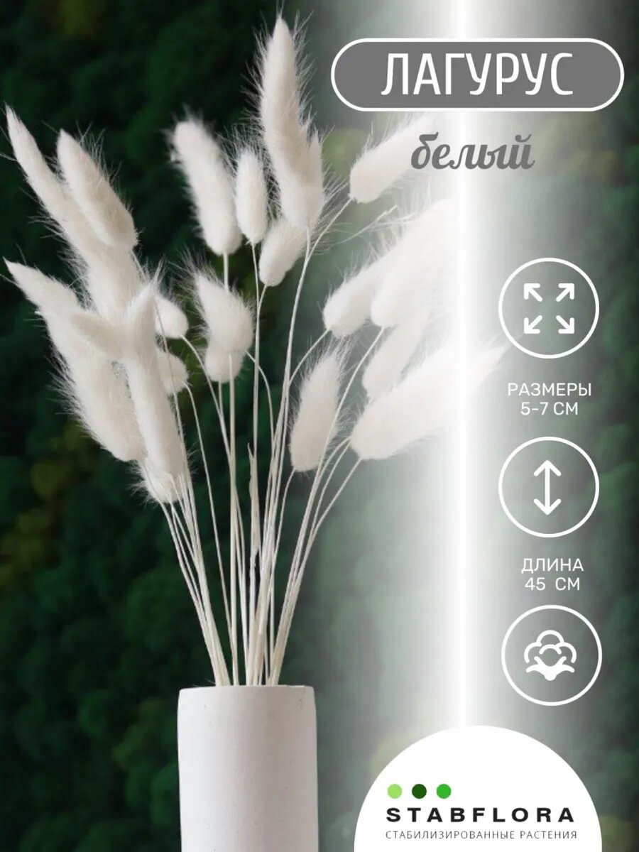 Букет "Зайцехвост" лагурус натуральный декор белый 35 шт.