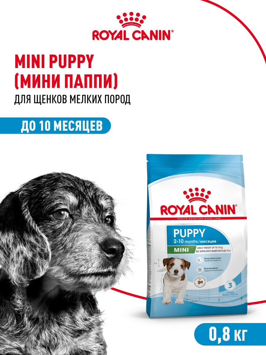 Сухой корм для щенков Royal Canin Mini Puppy для мелких пород, 0,8 кг — фото 1