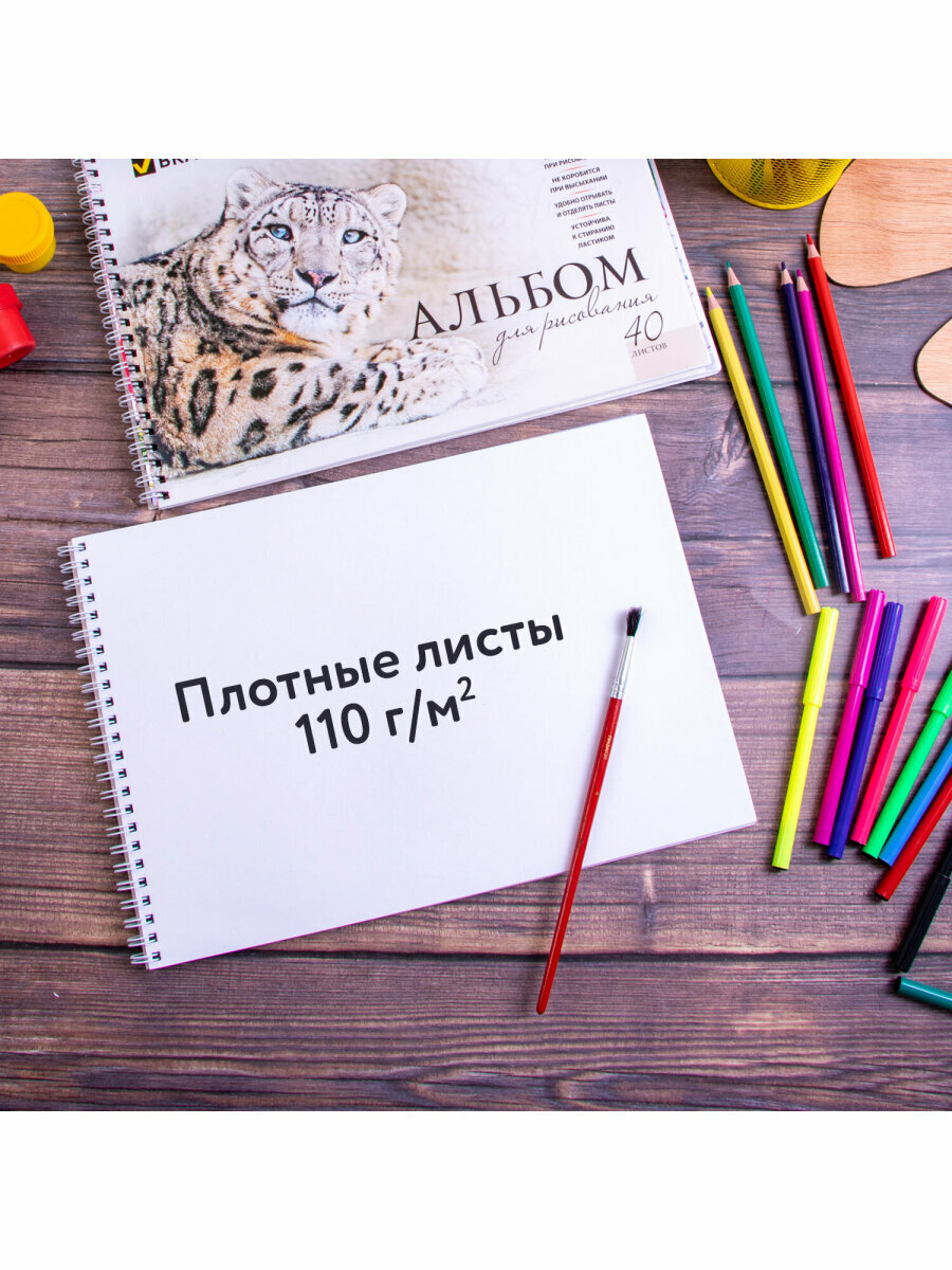 Альбом д/рис. А4 40 л, комплект 2 шт, гребень, обл. картон, BRAUBERG, 205х290 мм, Хищники, 880028 — фото 1