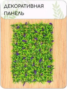 Основная фотография от вендора