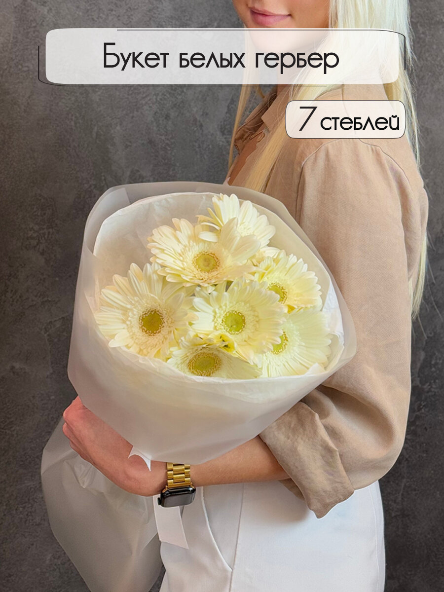 Букет свежих белых гербер Casablanca 7 шт 50 см. Florentika