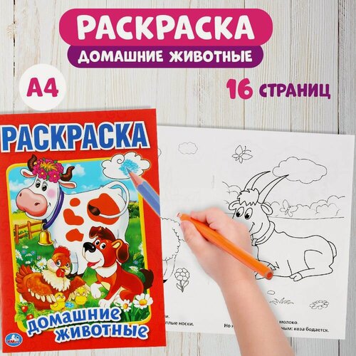 Изображение товара Раскраска Домашние животные Умка