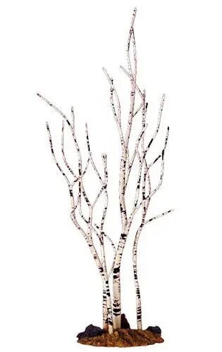 Береза  5 5х23х5 5 см  LEMAX