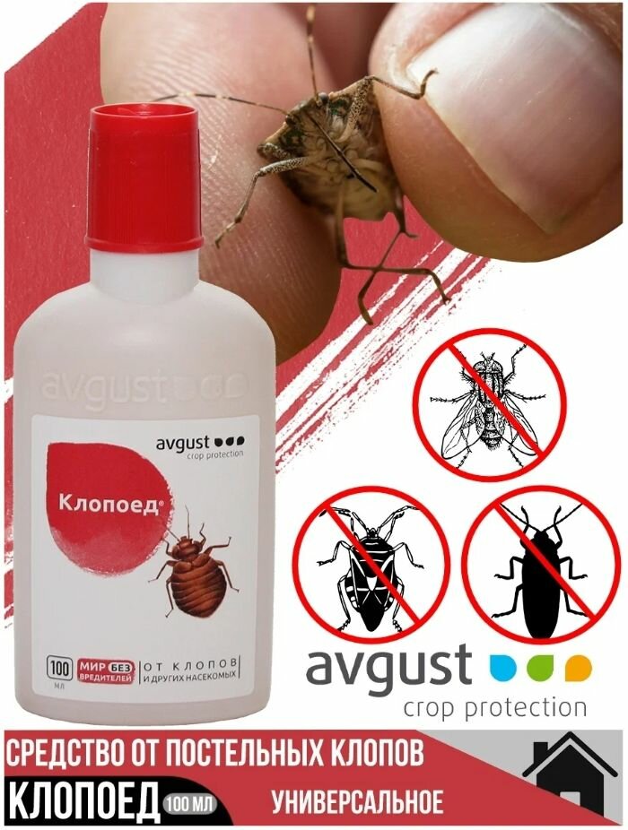 Концентрат avgust Клопоед от клопов и других насекомых, 100 г, 100 мл, белый
