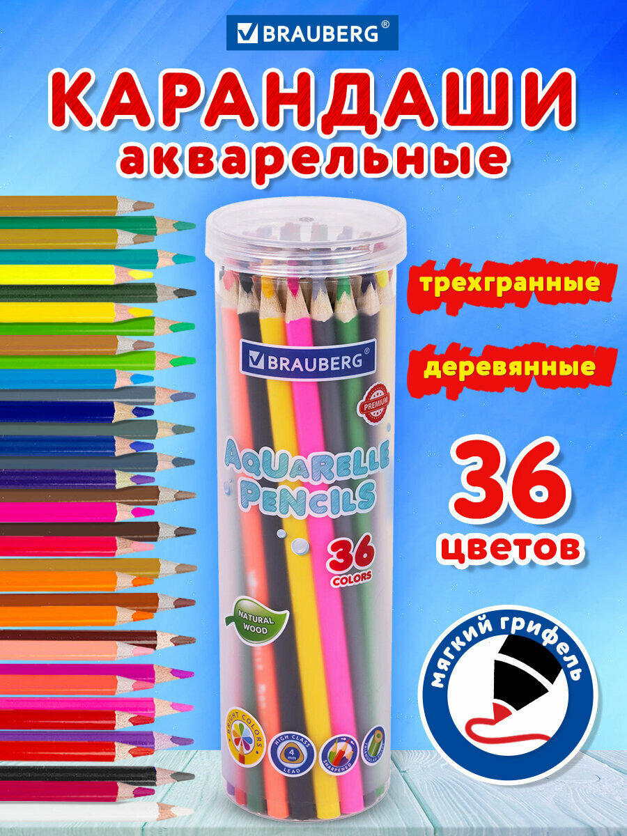 Карандаши цветные художественные для рисования акварельные BRAUBERG PREMIUM AQUARELLE 36 цветов в тубе трехгранные утолщенный грифель 4 мм натуральное дерево181933