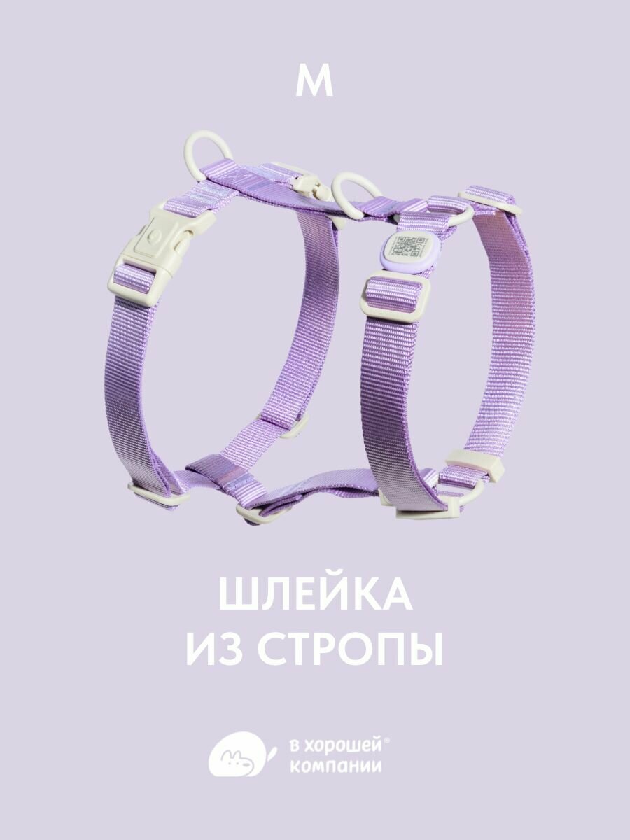 Шлейка для собак средних пород анатомическая IN GOOD COMPANY, с адресником из стропы, M
