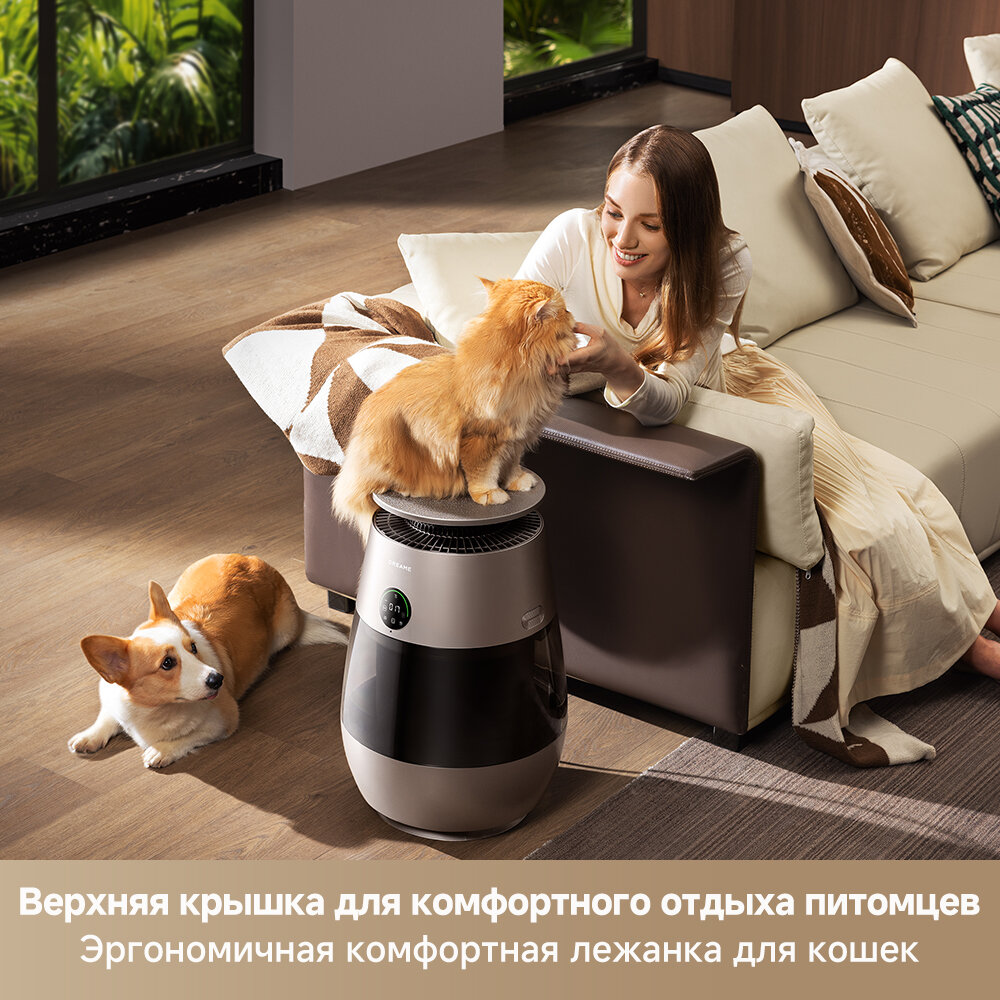 Очиститель воздуха Dreame AP10 (CVF61A), 300 м /ч, автоматическое включение, сенсорный дисплей, золотистый — фото 1