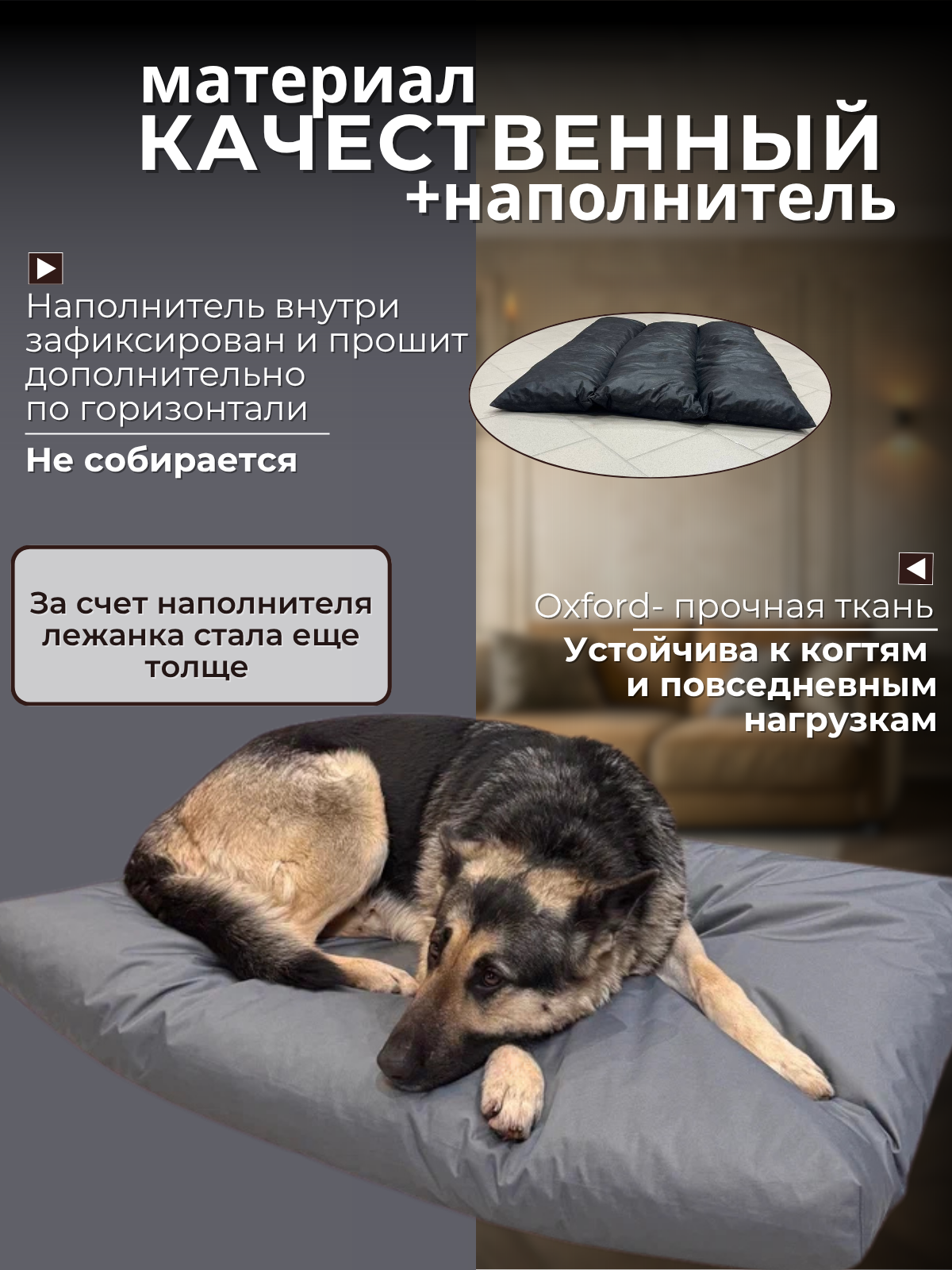 Картинки Лежанка антивандальная со съёмным чехлом, для кошек и собак крупных пород, 120х80х10см