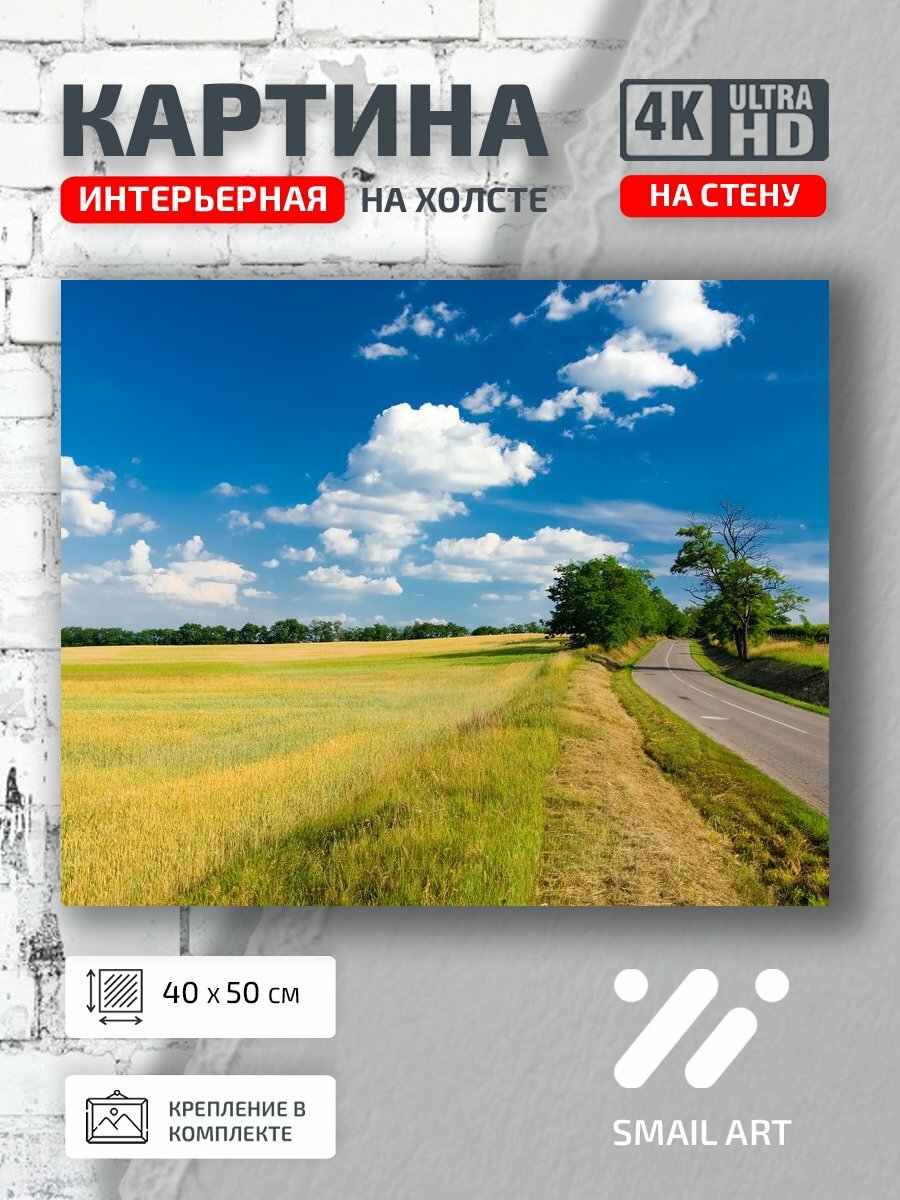 Картина на холсте интерьерная 40 на 50 на стену Полей Landscape для кабинета пейзаж декор