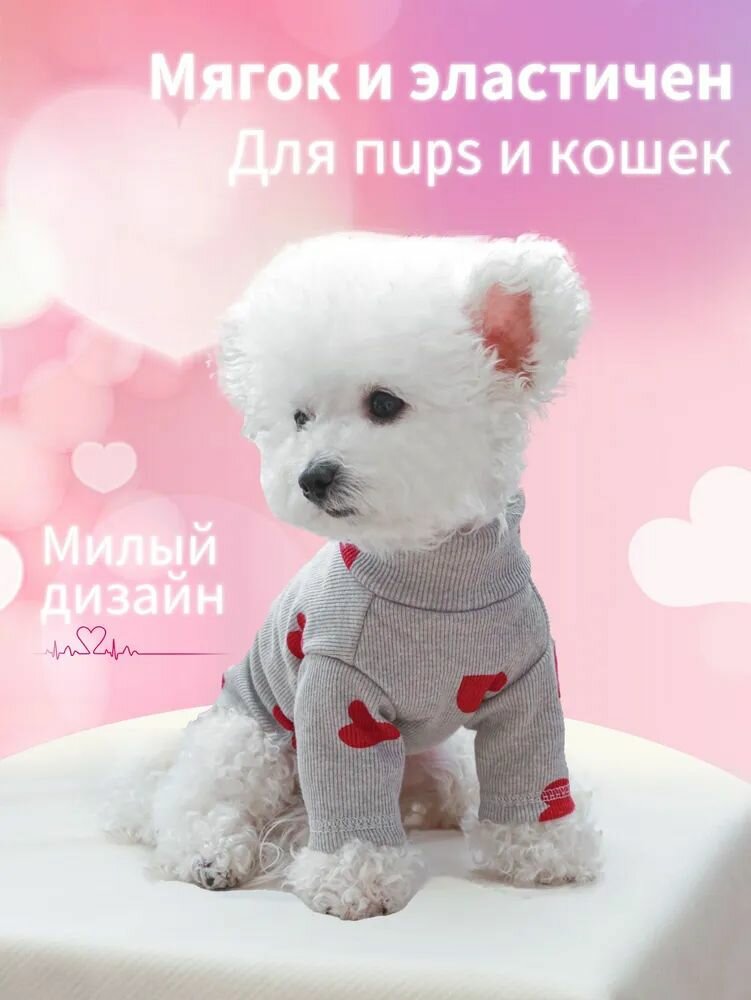Одежда для домашних животных, футболка для кошек и собак.