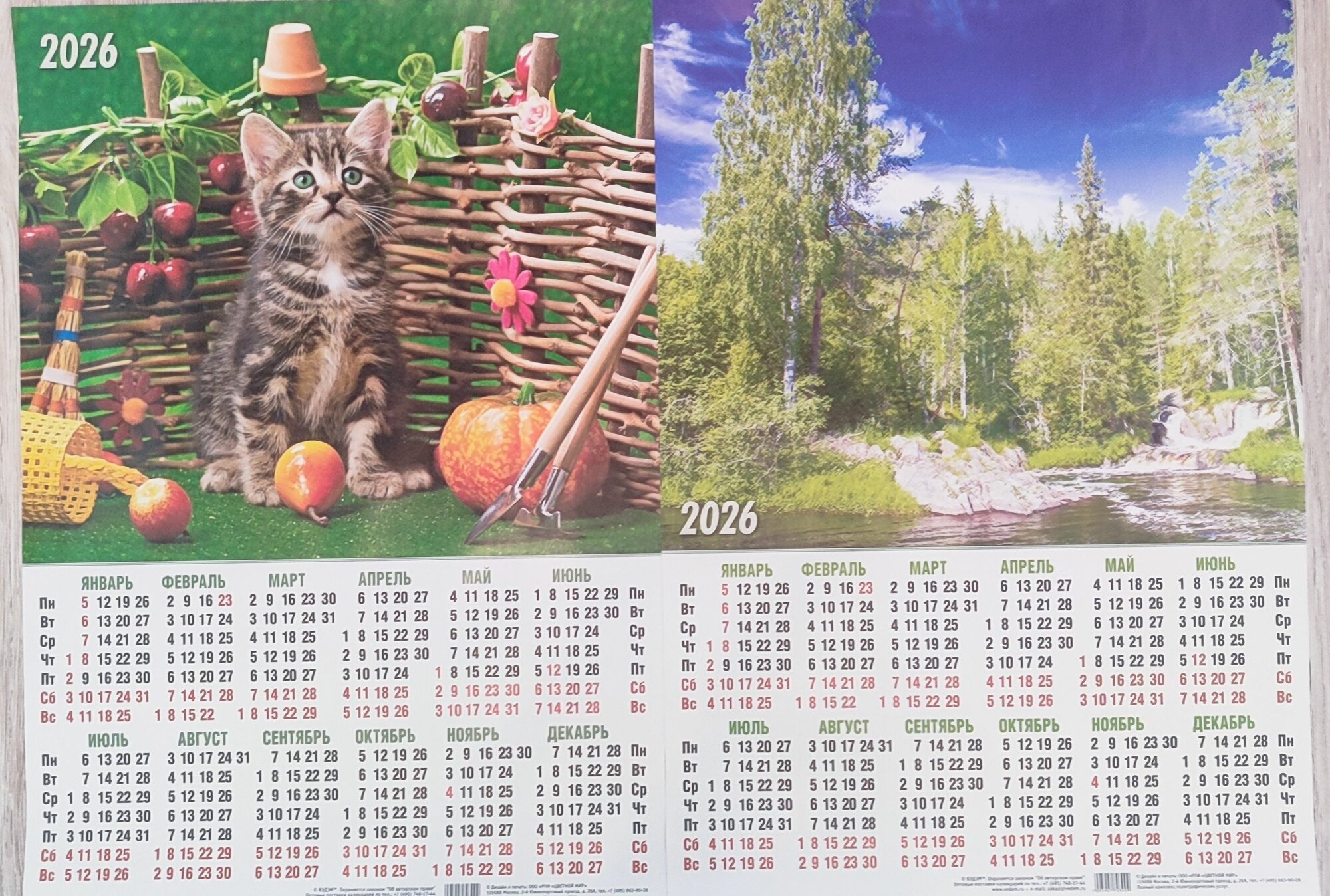 Набор календарей на 2026 год (2 шт). Котенок+природа