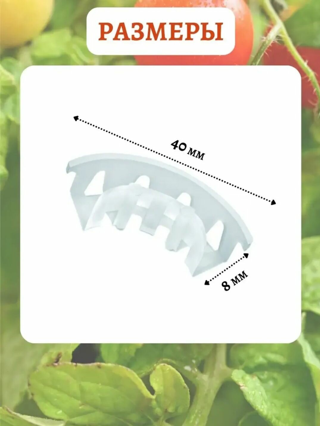 Кистедержатель для томатов прозрачный 30 шт — фото 1