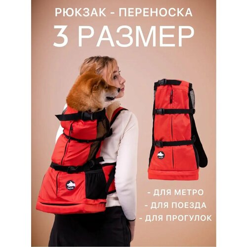 Рюкзак для собаки
