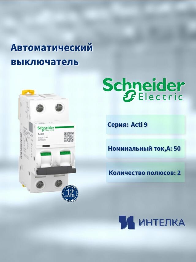 Автоматический выключатель Schneider electric iC60N 2П 50A C A9F79250
