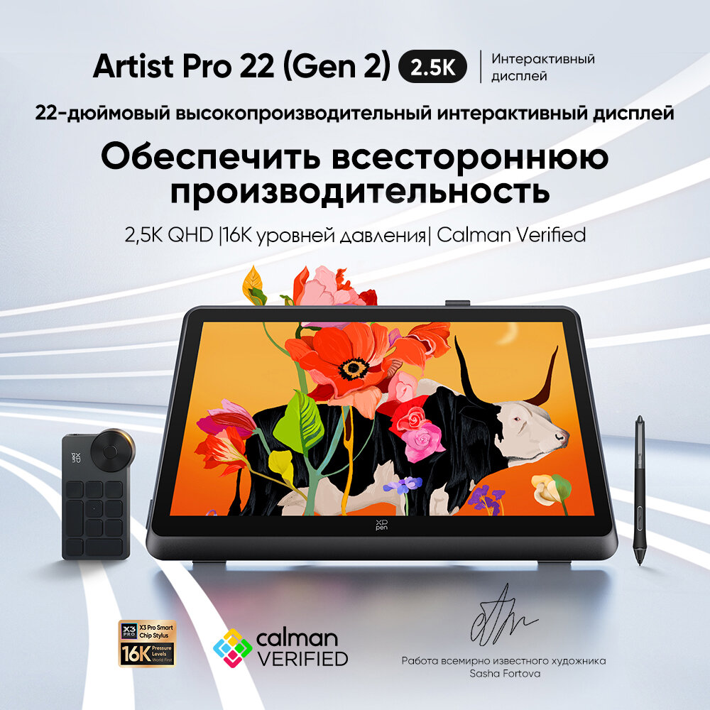 Интерактивный дисплей XPPen Artist Pro 22 2.5K (2-го поколения)