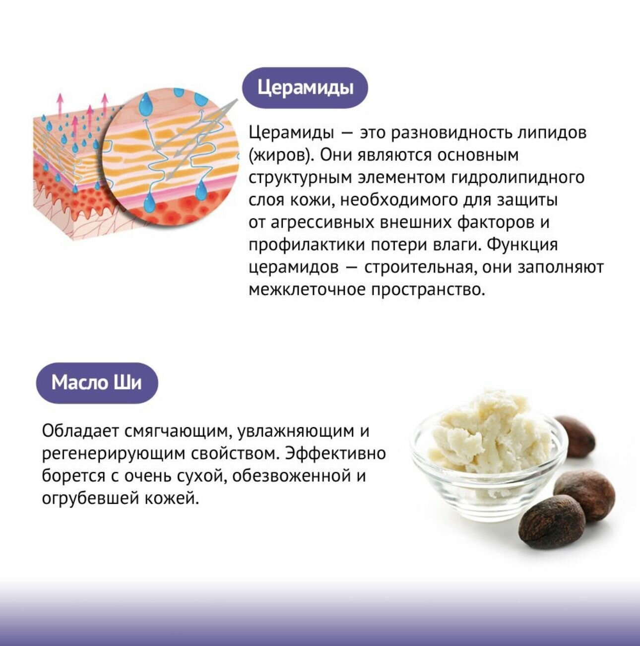 Handwunder Regeneration cream Крем для рук регенирирующий, 50 мл — фото 1