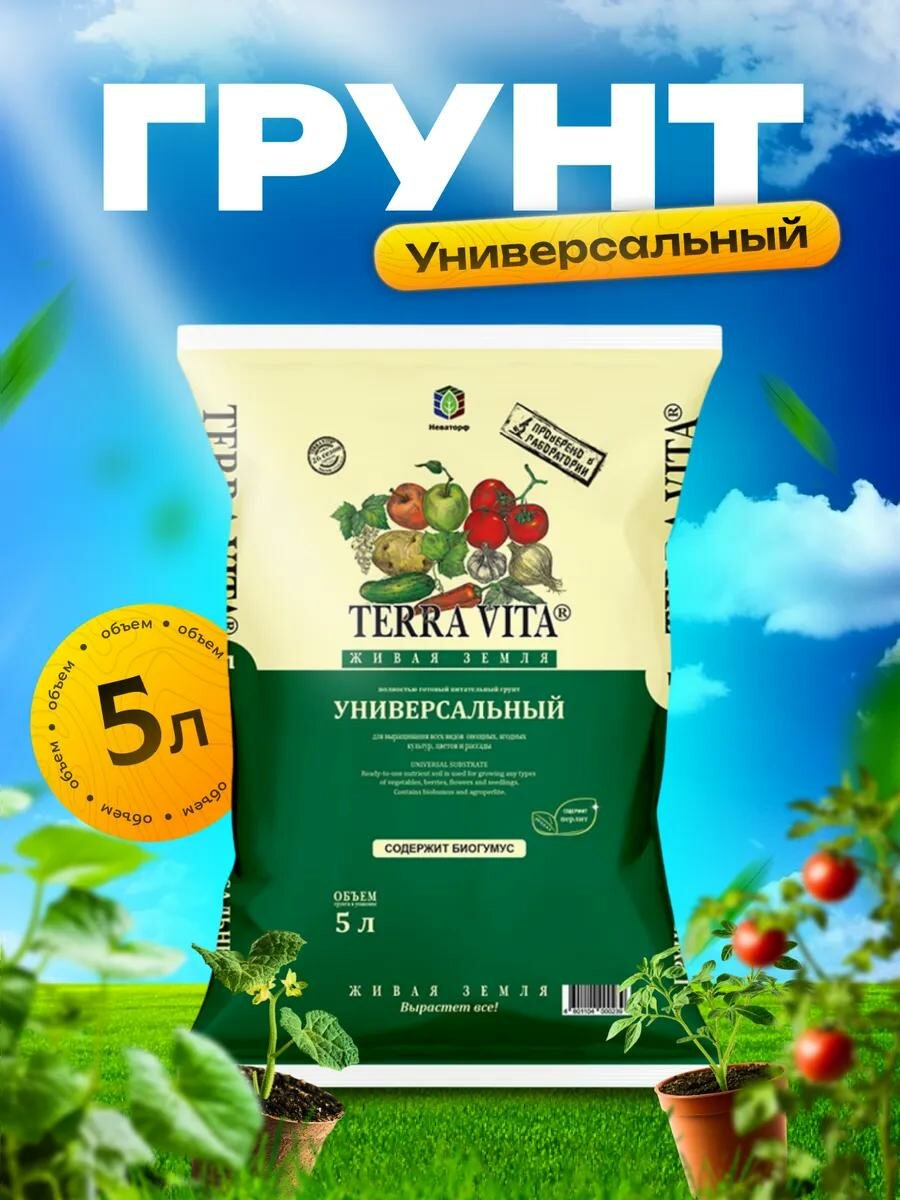 Грунт 
