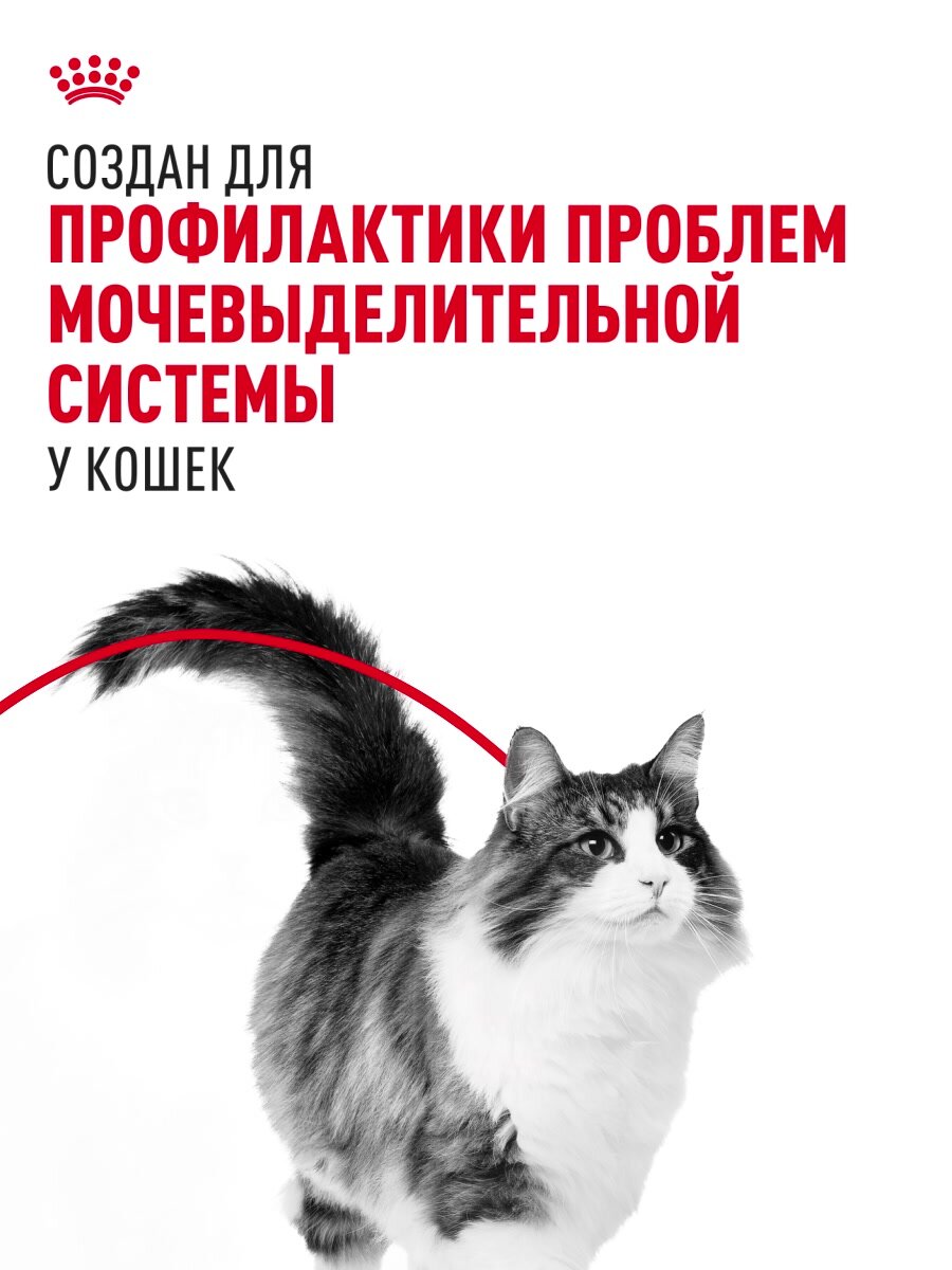 Сухой корм для кошек Royal Canin Urinary Care при мочекаменой болезни, 2 кг — фото 1