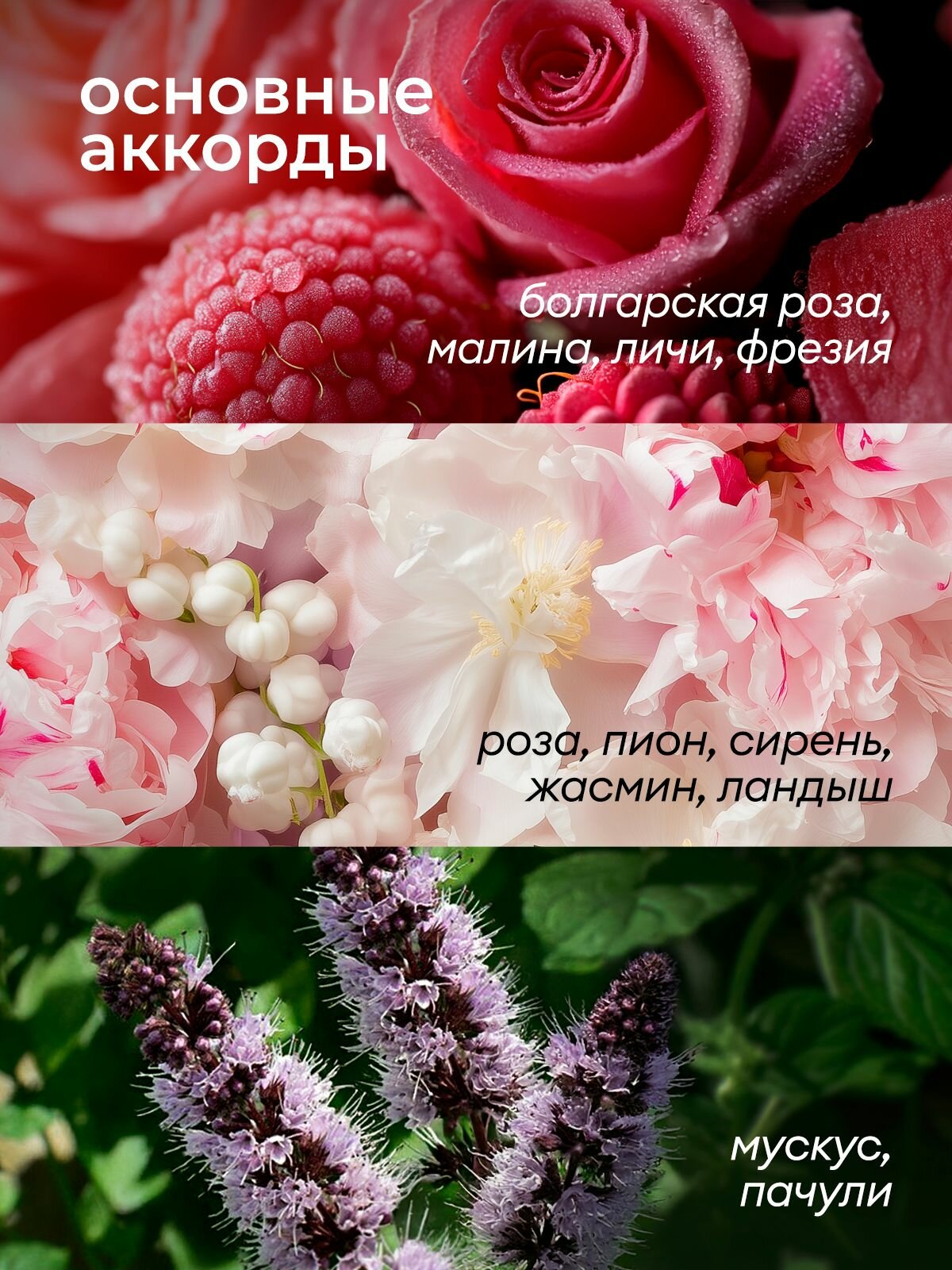 Набор жидкое мыло для рук парфюмированное GRASS Milana Oud Rood & Milana Spring Bloom 2 шт. — фото 1