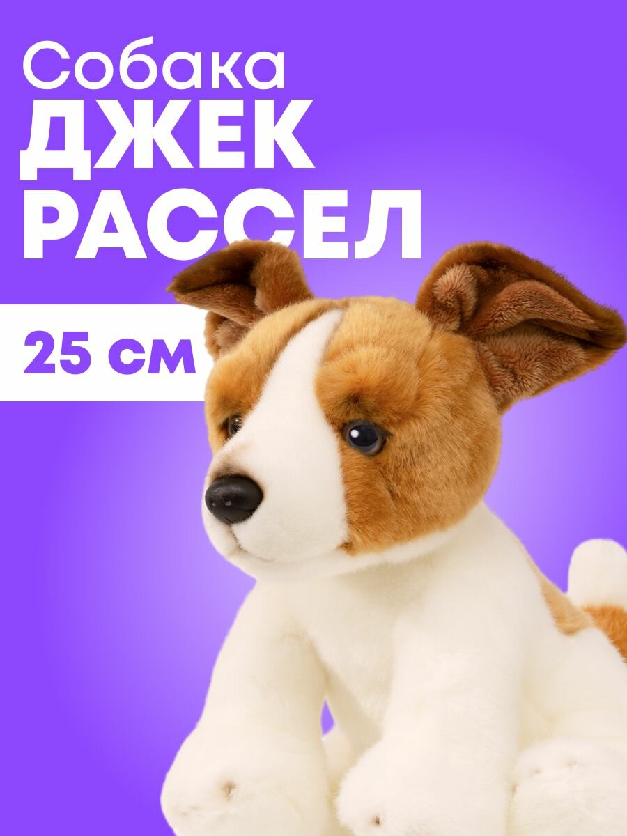 Мягкая игрушка реалистичная MAXITOYS собачка джек рассел