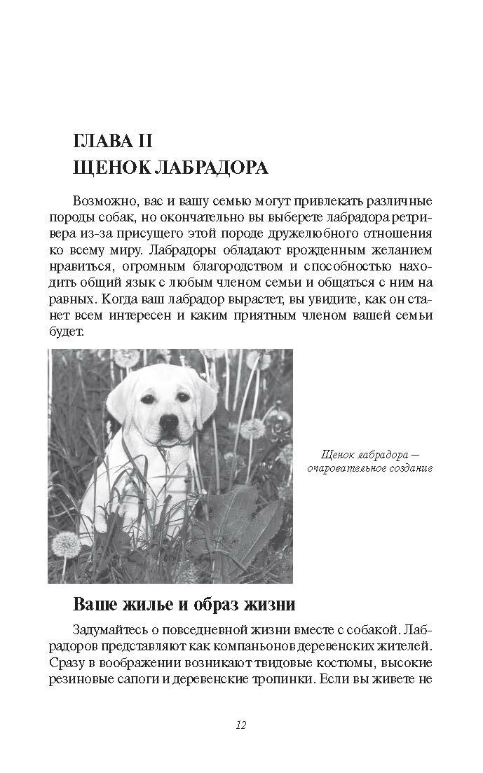 Название товара "Лабрадор Ретривер", дрессировка, содержание, разведение — фото 1