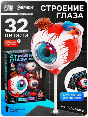 Изображение товара Набор для опытов эврики "Строение глаза", анатомическая модель