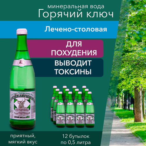 Изображение товара Вода Горячий Ключ Лечебно-столовая. Объем 0.5л*12 в стекле. Вода минеральная питьевая газированная, выводит токсины