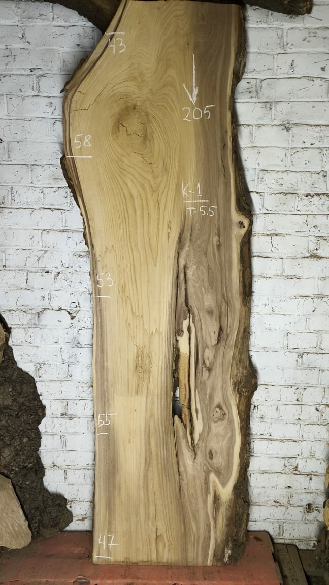 Слэб карагач К1