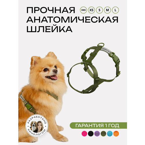 Шлейка для собак мелких и средних пород анатомическая размер XS, хаки, PRO COMFORT