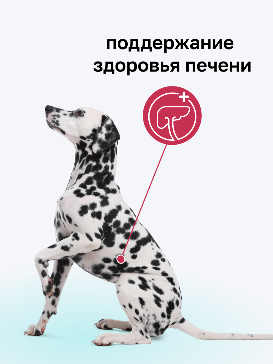 Organix Preventive Line Hepatic сухой корм для собак "Поддержание здоровья печени", 2,5 кг — фото 1