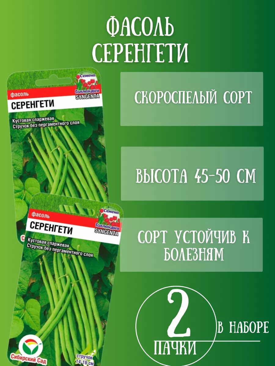 Фасоль 