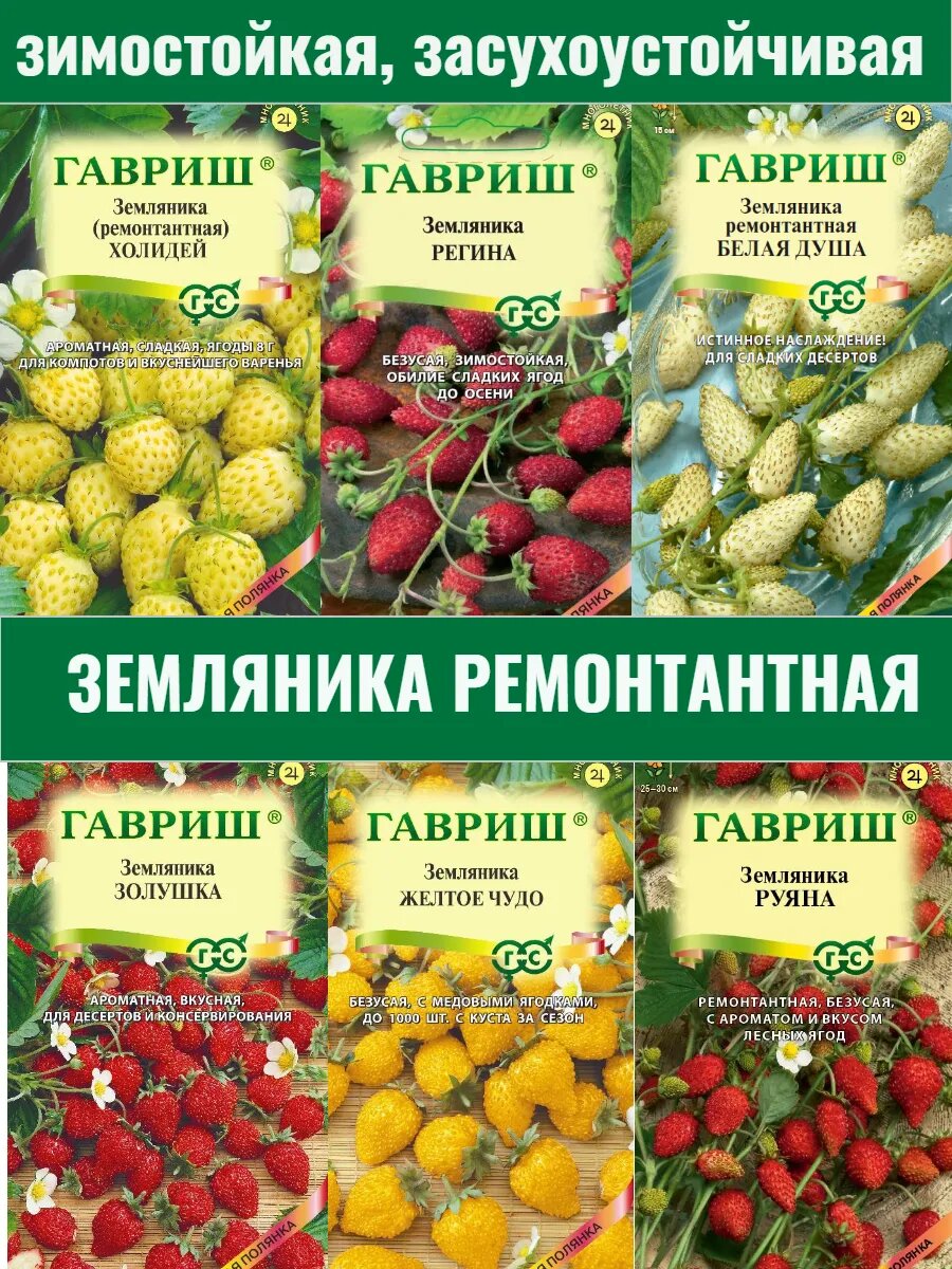 Семена земляники ремонтантной 6 пакетов