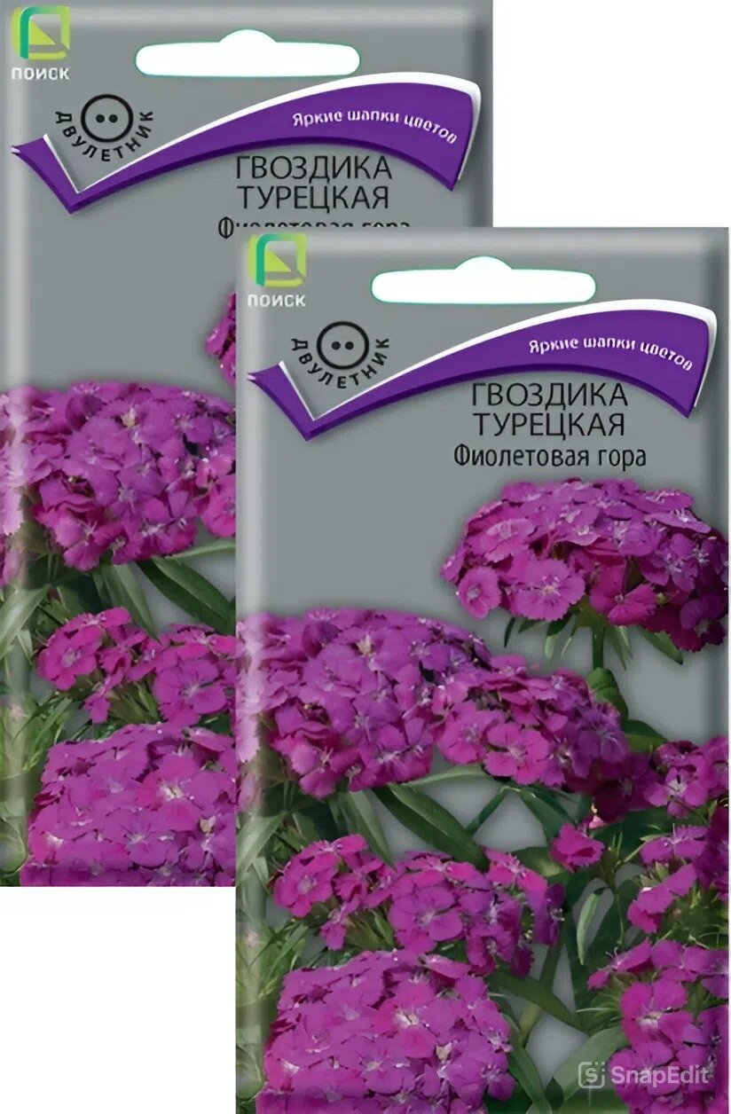 Семена Гвоздика Турецкая Фиолетовая гора (025 г) 2 пакета Агрофирма Поиск