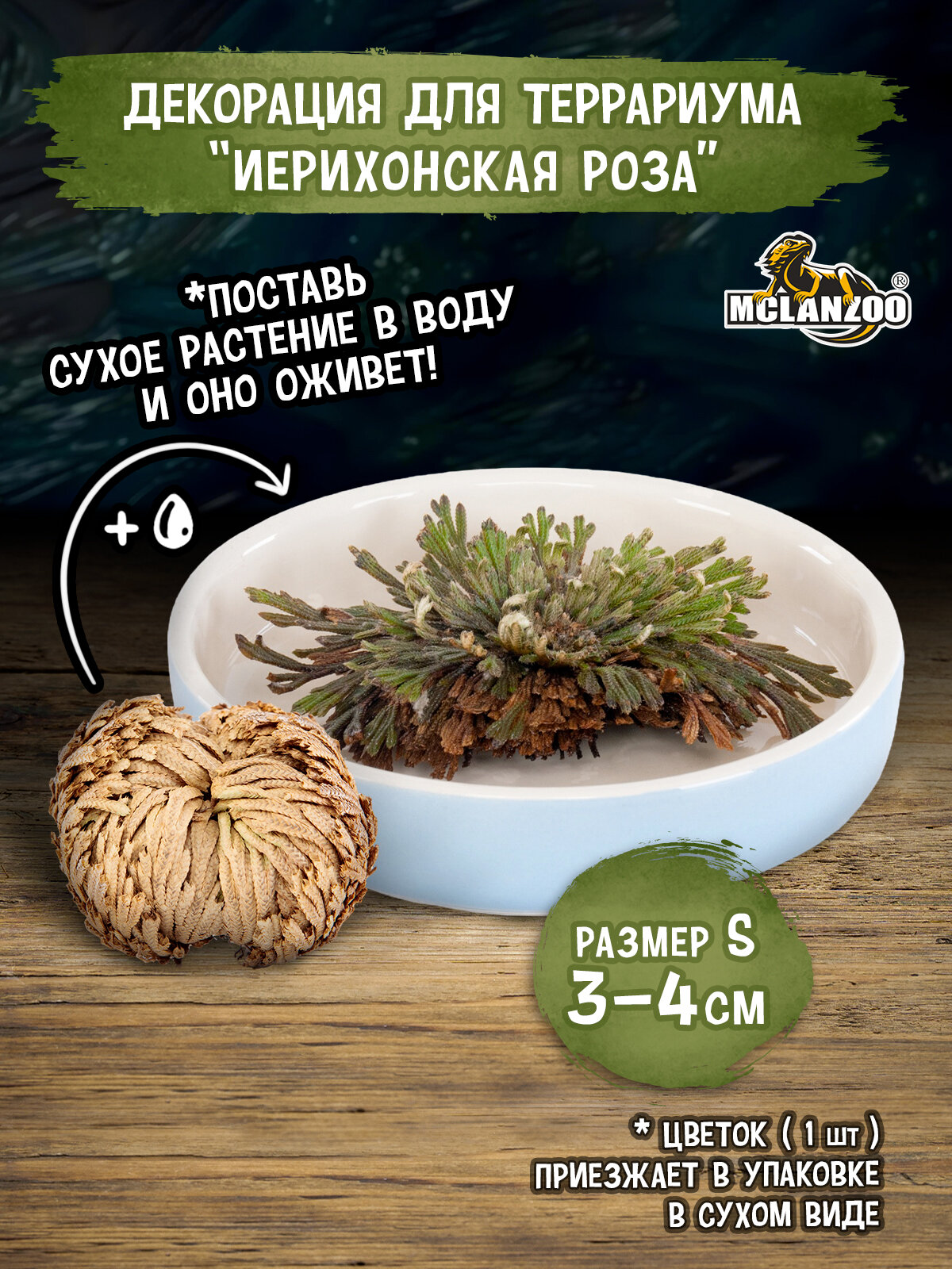 Декорация MCLANZOO 