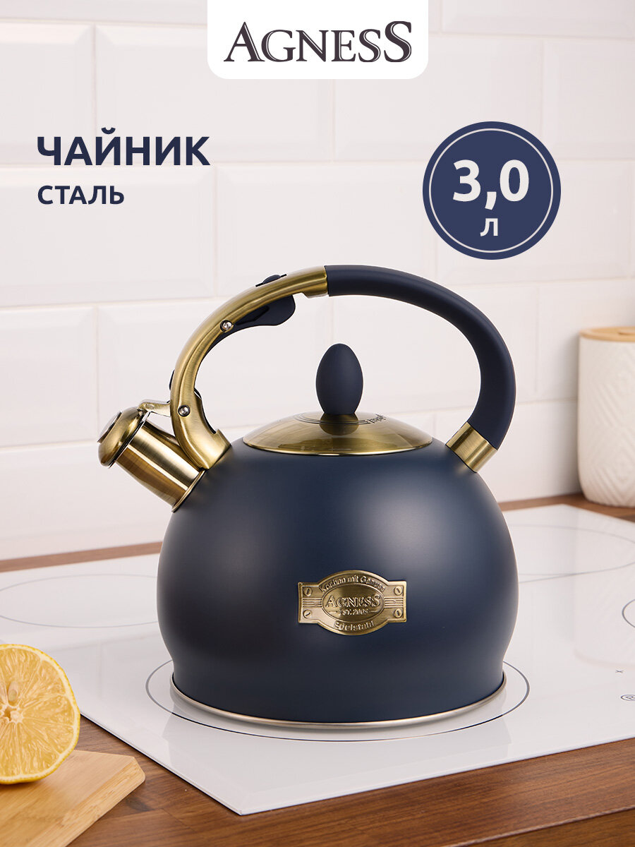 Чайник для газовой плиты Agness 