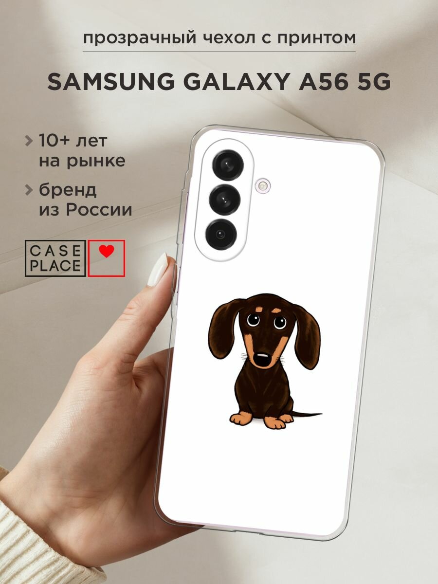 Чехол на Samsung Galaxy A56 5G / Самсунг Галакси А56 5G с принтом "Маленькая такса"
