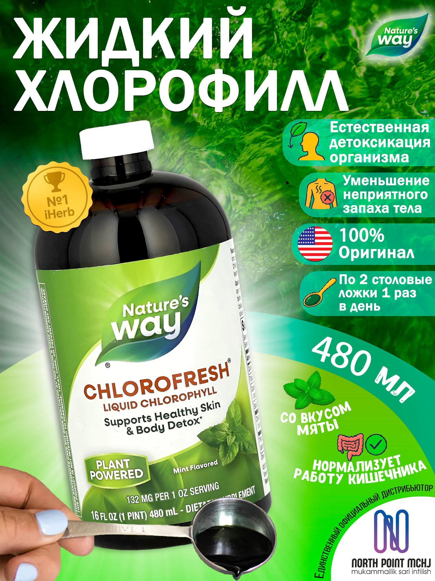 Nature's Way, Chlorofresh, Витамин жидкий хлорофилл, мята, 480 мл